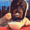 AlexKov1