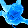 xxx-7777777-xxx